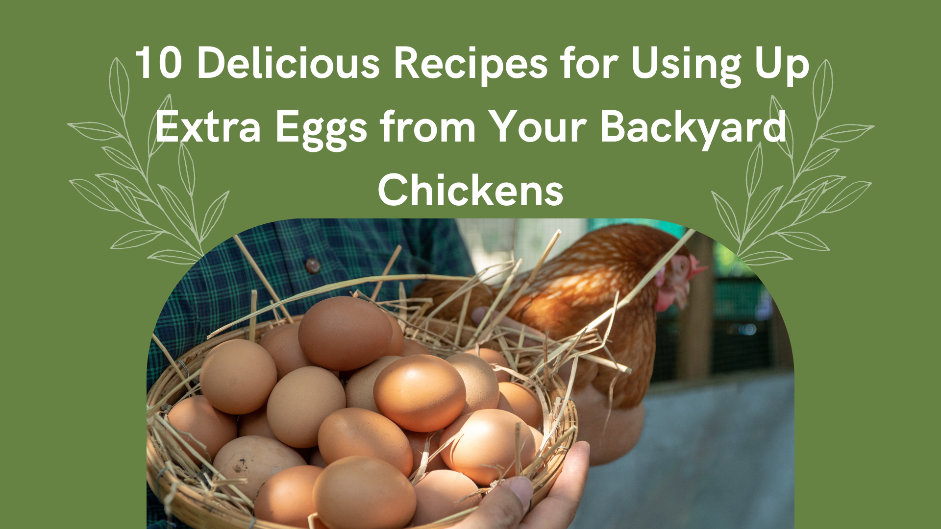 10 Delicious Recipes for Using Up Extra Eggs from Your Backyard Chickens
