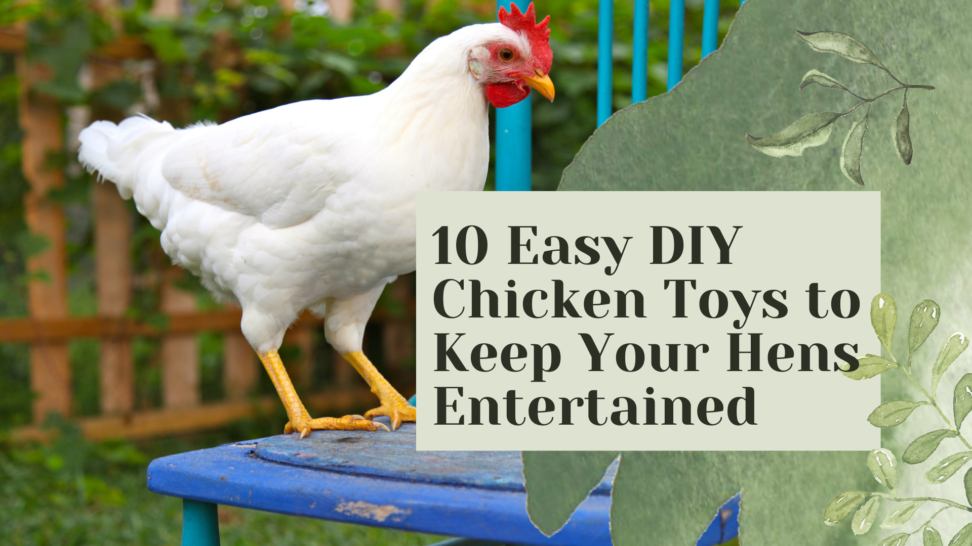 10 Easy DIY Chicken Toys to Keep Your Hens Entertained