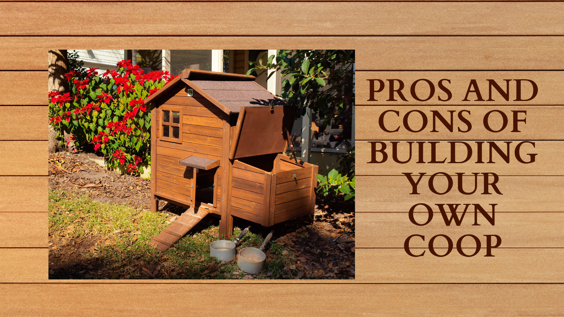 Pros and Cons of Building your Own Coop