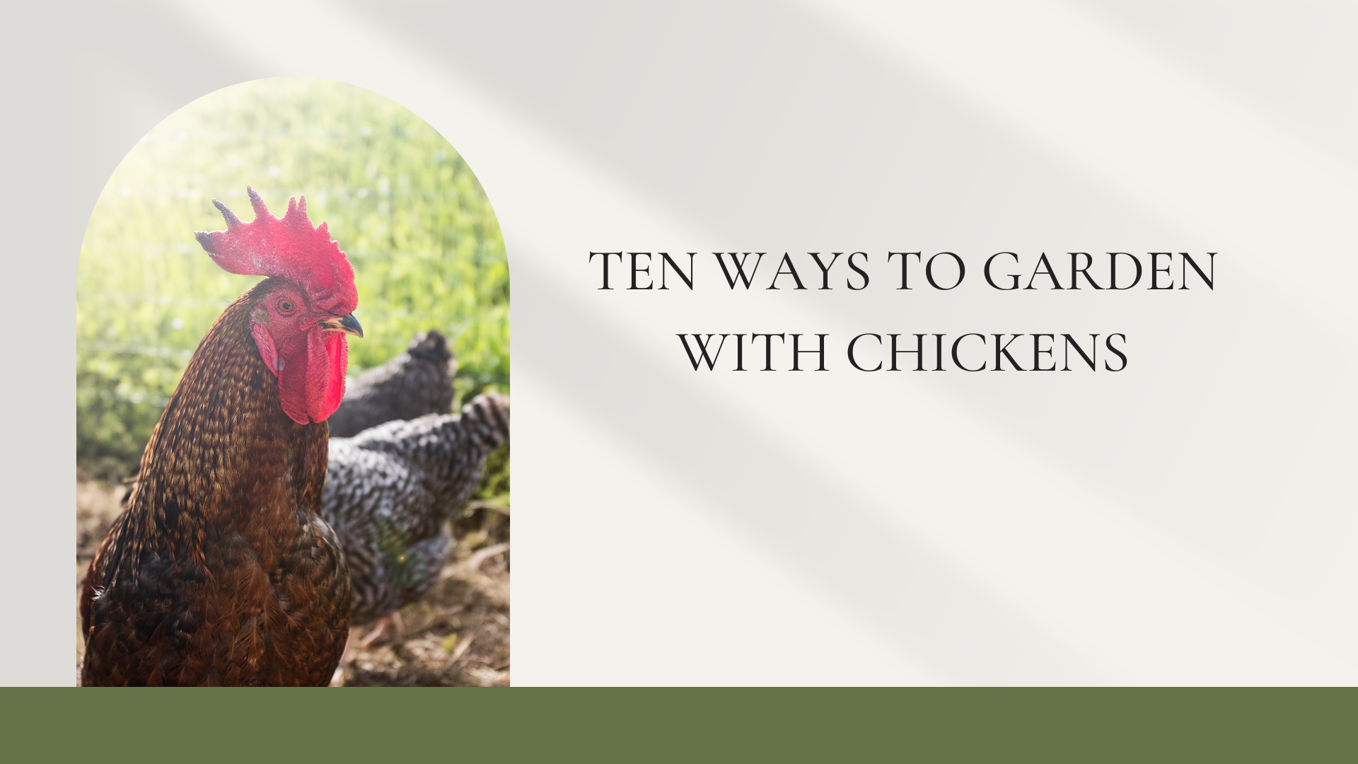 Ten Ways to Garden with Chickens