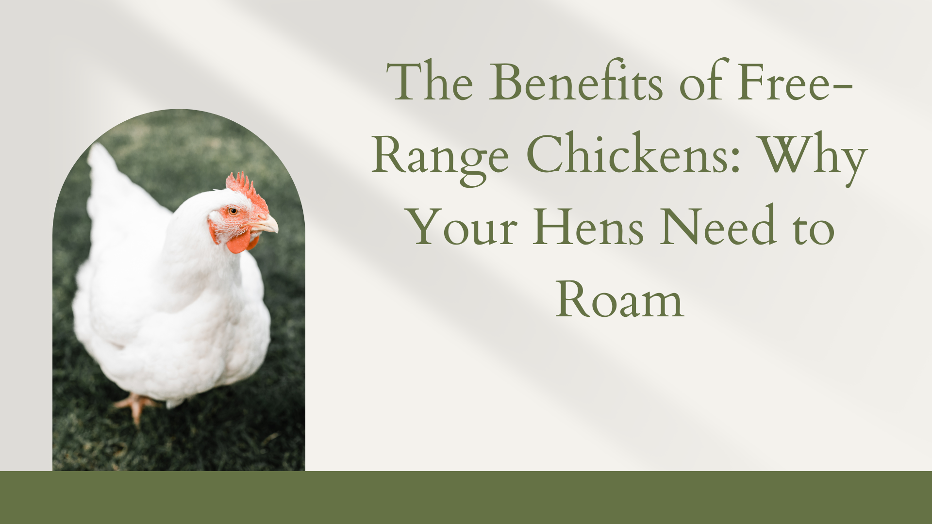 The Benefits of Free-Range Chickens: Why Your Hens Need to Roam