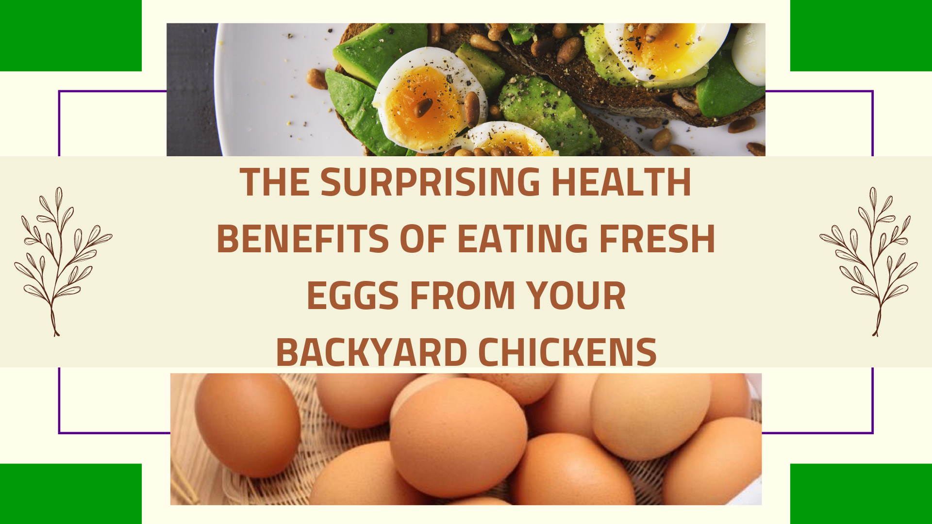 The Surprising Health Benefits of Eating Fresh Eggs from Your Backyard Chickens