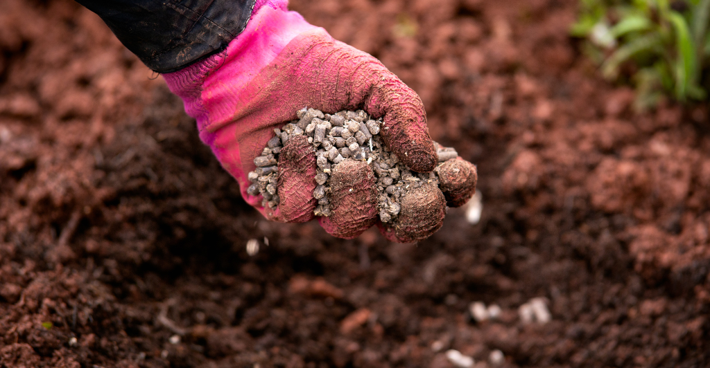 The benefits of sustainable chicken farming