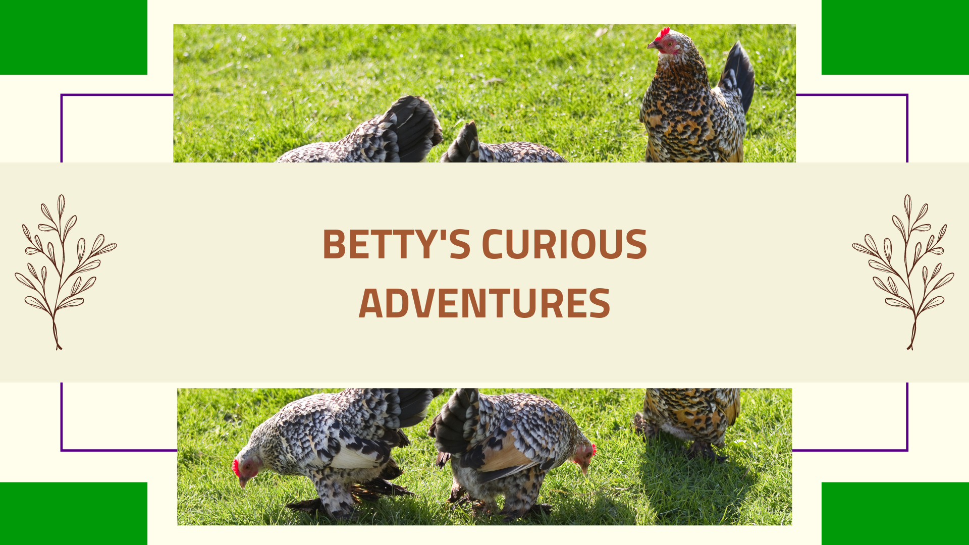 Betty’s Curious Adventures
