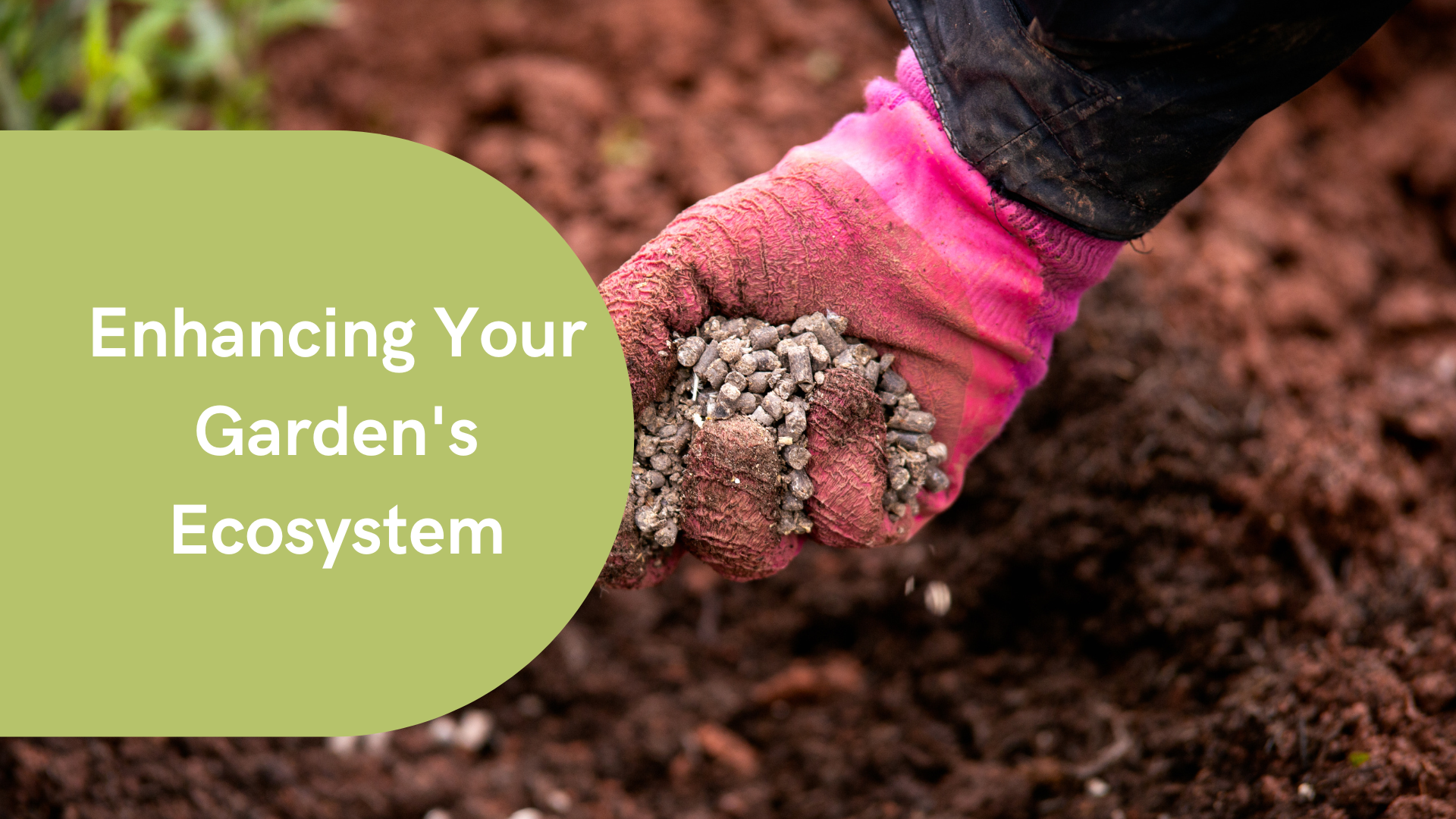 Enhancing Your Garden’s Ecosystem